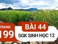 Giải sinh lớp 12: Đáp án bài 44 trang 199 SGK sinh học