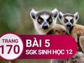 Giải sinh lớp 12: Đáp án bài 5 trang 170 SGK sinh học