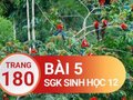 Giải sinh lớp 12: Đáp án bài 5 trang 180 SGK sinh học