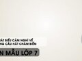 Phát biểu cảm nghĩ về Những câu hát châm biếm
