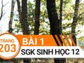 Giải bài 1 trang 203 sách giáo khoa sinh học lớp 12