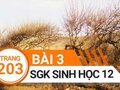 Đáp án bài 3 trang 203 sách giáo khoa sinh học 12