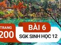 Giải sinh lớp 12: Đáp án bài 6 trang 200 SGK sinh học