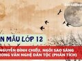 Phân tích tác phẩm Nguyễn Đình Chiểu, ngôi sao sáng trong văn nghệ của dân tộc