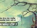 Phân tích tác phẩm Xa ngắm thác núi Lư