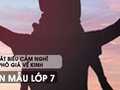 Phát biểu cảm nghĩ về bài thơ Phò giá về kinh