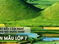 Phát biểu cảm nghĩ về bài thơ Sông núi nước Nam