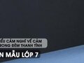 Cảm nghĩ về bài thơ Cảm nghĩ trong đêm thanh tĩnh