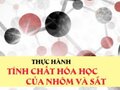 Báo cáo thực hành: Tính chất hóa học của nhôm và sắt