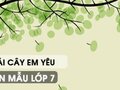 Biểu cảm về loài cây em yêu