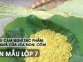 Phát biểu cảm nghĩ về tác phẩm Một thứ quà của lúa non Cốm - Văn mẫu 7