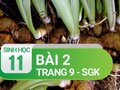 Câu 2 trang 9 SGK Sinh học 11