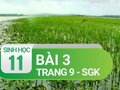 Câu 3 trang 9 SGK Sinh học 11