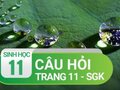 Câu hỏi thảo luận trang 11 SGK Sinh học 11