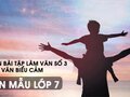 Lập dàn bài tập làm văn số 3 - Văn biểu cảm - Văn mẫu 7