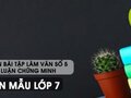 Lập dàn bài tập làm văn số 5 - Lập luận chứng minh - Văn mẫu 7