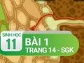 Câu 1 trang 14 SGK Sinh học 11
