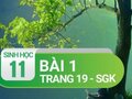 Câu 1 trang 19 SGK Sinh học 11