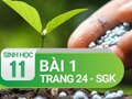 Câu 1 trang 24 SGK Sinh học 11