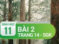 Câu 2 trang 14 SGK Sinh học 11
