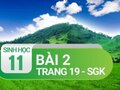 Câu 2 trang 19 SGK Sinh học 11