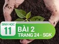 Câu 2 trang 24 SGK Sinh học 11