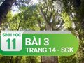Câu 3 trang 14 SGK Sinh học 11