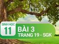 Câu 3 trang 19 SGK Sinh học 11