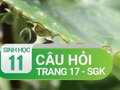 Câu hỏi thảo luận trang 17 SGK Sinh học 11