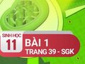 Câu 1 trang 39 SGK Sinh học 11
