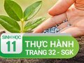 Bài 7 trang 32 SGK Sinh học 11: Thực hành thí nghiệm