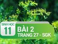 Câu 2 trang 27 SGK Sinh học 11