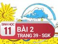 Câu 2 trang 39 SGK Sinh học 11