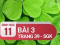 Câu 3 trang 39 SGK Sinh học 11