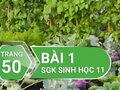 Câu 1 trang 50 SGK Sinh học 11