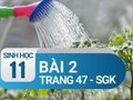 Câu 2 trang 47 SGK Sinh học 11
