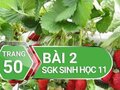 Câu 2 trang 50 SGK Sinh học 11