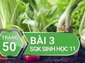 Câu 3 trang 50 SGK Sinh học 11