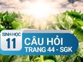 Câu hỏi thảo luận trang 44 SGK Sinh 11