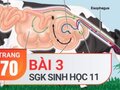 Câu 3 trang 70 SGK Sinh học 11