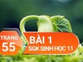 Câu 1 trang 55 SGK Sinh học 11