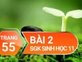 Câu 2 trang 55 SGK Sinh học 11