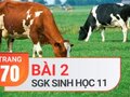 Câu 2 trang 70 SGK Sinh học 11