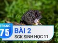 Câu 2 trang 75 SGK Sinh học 11