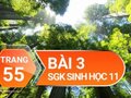 Câu 3 trang 55 SGK Sinh học 11