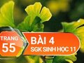 Câu 4 trang 55 SGK Sinh học 11