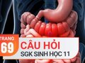 Câu hỏi thảo luận trang 69 SGK Sinh học 11