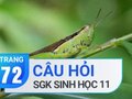 Câu hỏi thảo luận trang 72 SGK Sinh 11