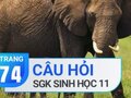 Câu hỏi thảo luận trang 74 SGK Sinh 11