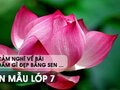 Cảm nghĩ về bài Trong đầm gì đẹp bằng sen  - Văn mẫu 7